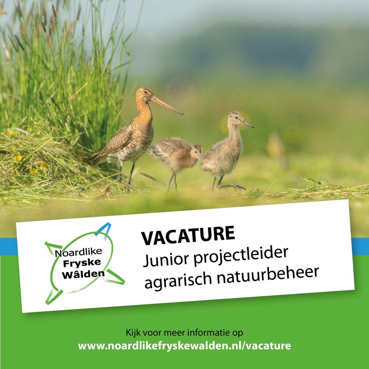NFW is op zoek naar 2 Junior projectleiders agrarisch natuurbeheer. Bekijk de #vacature hier: abvakwerk.nl/vacatures/juni…