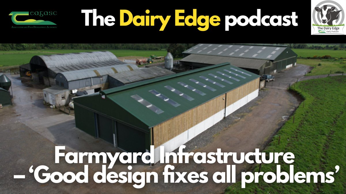 🎙️@Teagasc dairy specialist, Pat Gowing joins James Dunne on this week's #DairyEdge podcast to discuss farmyard infrastructure &amp; why ‘Good design fixes all problems’ 🧑‍🌾
 🎧Listen &amp; follow on Apple/Spotify: pod.fo/e/2fb83c