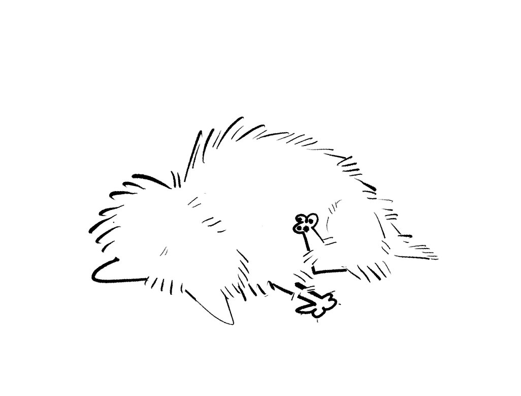 눈덩이는밤덩이 (@nuntineunbamti) on Twitter photo 