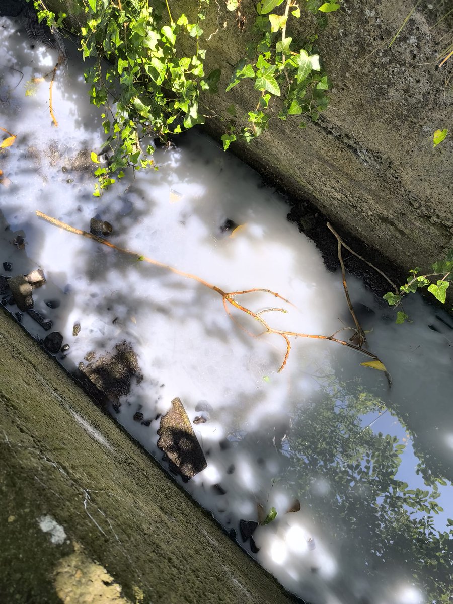 Not even our rivers run free. 💔

Poddle Park, 13 July 2025, as the new "flood wall" is currently being constructed. 🤠