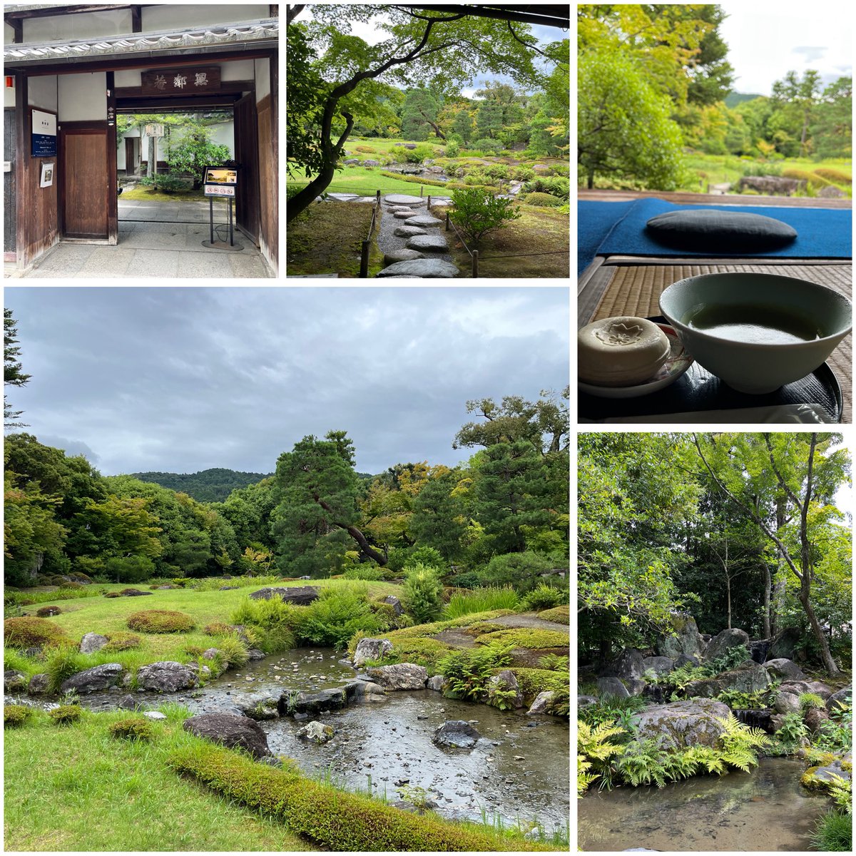green_walkway's tweet photo. 京都　無鄰菴　特別展示
Mosslight-LED「苔むすテラリウムの魅力」会場の雰囲気とモスライトが素敵に融合✨明後日16日(水)まで！！
PS.平安神宮に初めてお参りしました⛩️
#mosslight
#株式会社イースプランニング https://t.co/ZA93iusyzi
