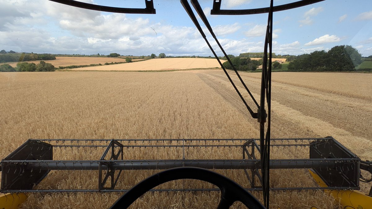 Wyefarm's tweet image. Utterly utterly awful. Spring Barley ~4t/ha.
Started at 13% this morning, stopped now at 11.2%.