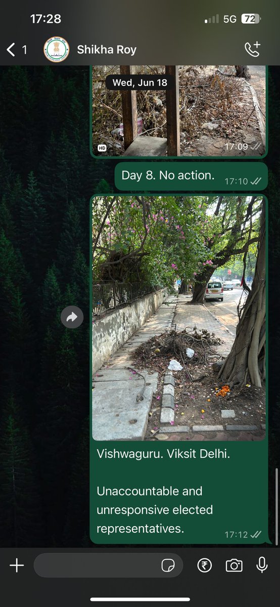 BediKrish's tweet photo. Kudos to Greater Kailash Ward Councillor @ashuthakuraap for swiftly clearing this horticulture debris after just one WhatsApp. 

Meanwhile, @shikharoyBJP has ignored 3 months of emails, messages, and follow-ups - despite this being a @DelhiPwd road.

#YeThikKarkeDikhao https://t.co/A7SxQVDesH