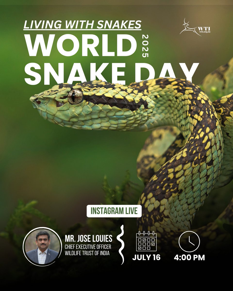 wti_org_india's tweet image. Join us LIVE on #WorldSnakeDay!
Get ready for a fascinating session on ‘Living with Snakes’ with Jose Louies, CEO of Wildlife Trust of India and founder of Indiansnakes.org
16th July 2025 | 4:00 PM IST