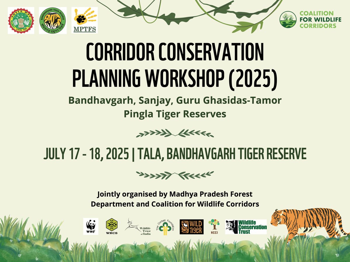 Under the leadership of the <a href="/minforestmp/">Department of Forest, MP</a>, Bandhavgarh Tiger Reserve and Madhya Pradesh Tiger Foundation Samiti, in collaboration with the Coalition for Wildlife Corridors, are organizing a two-day corridor conservation planning workshop this week.

#Collaboration #India