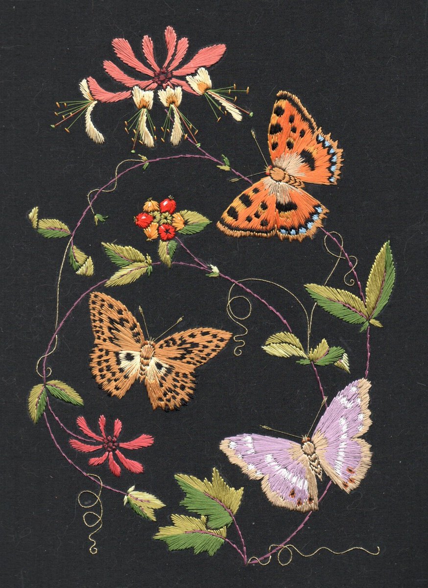 helen_m_stevens's tweet image. One "plus" to our "three heatwaves on the trot" situation this year is that the butterflies are having a wonderful summer. In my garden, they have been particularly keen on the honeysuckle, what a treat for the senses, smell and sight, together! All three of these species love…