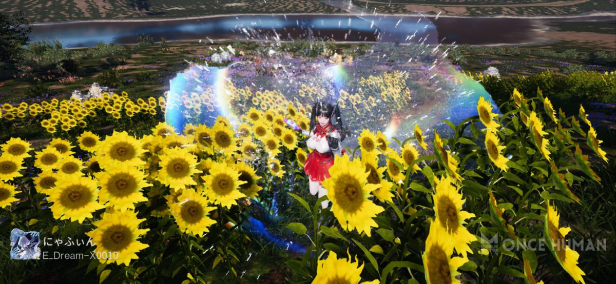 座標-332,-3467

ひまわり畑の夢領域消えてます♪
お引越しお考えの方はぜひ🌻✨
自分はこの景色活かせる自信が...笑