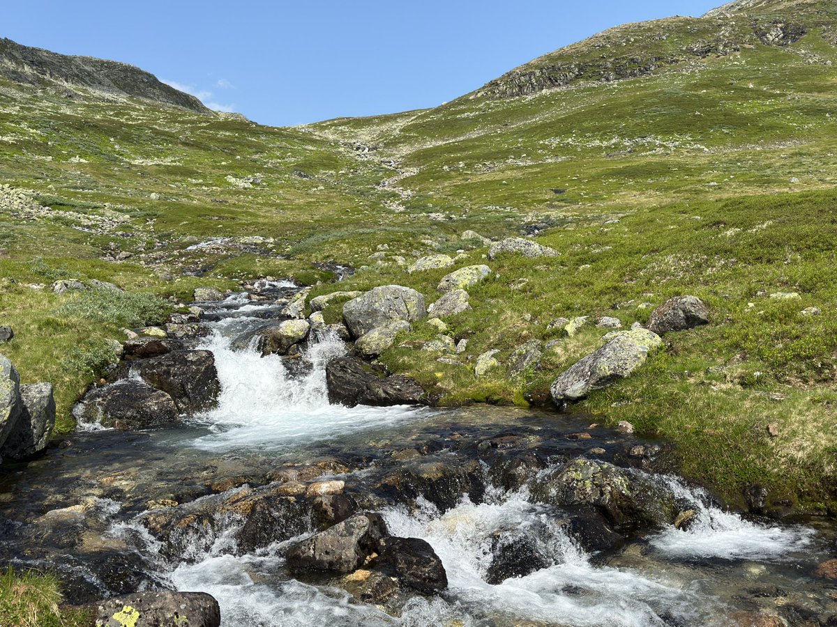 8h hike, that’s a personal record！ Worth the struggle⛰️⛰️⛰️#Fjordcon