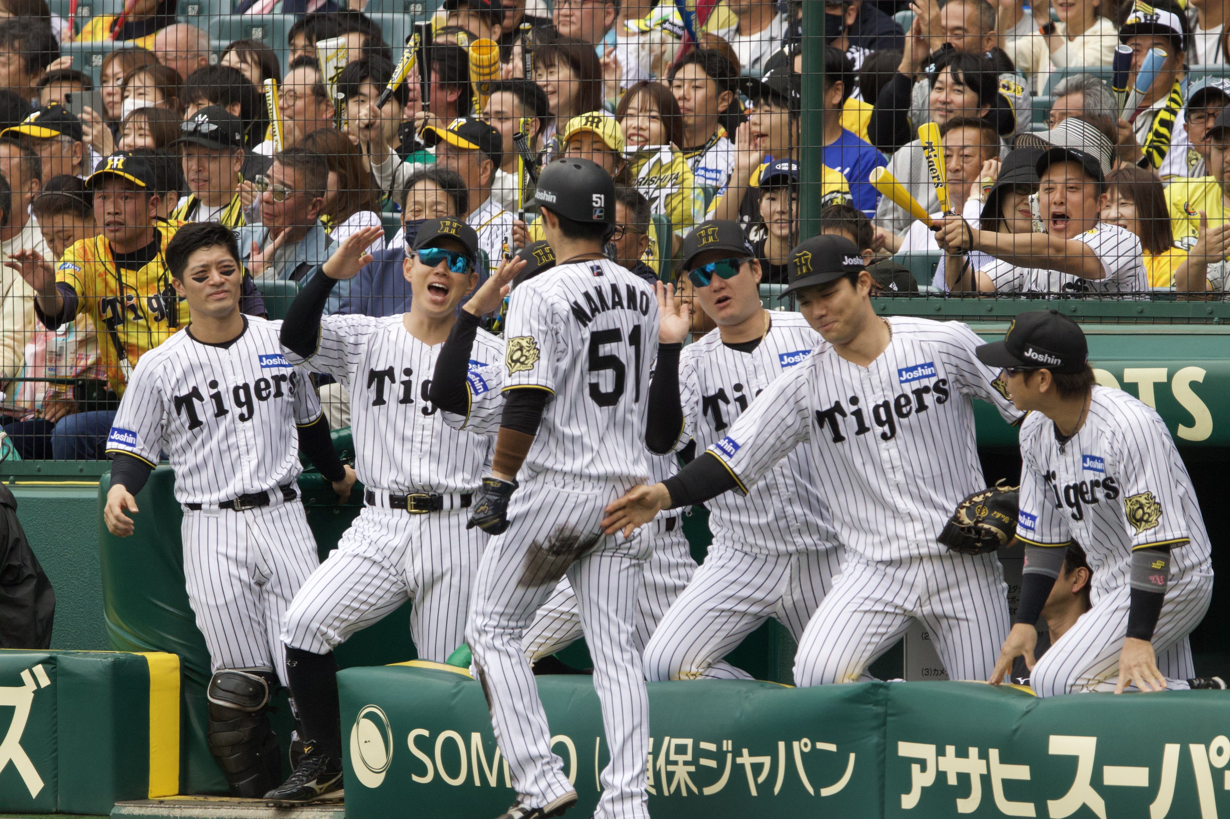 阪神甲子園球場 模型 野球 タッチ 阪神甲子園球場 1/1500スケールスタジアムモデル