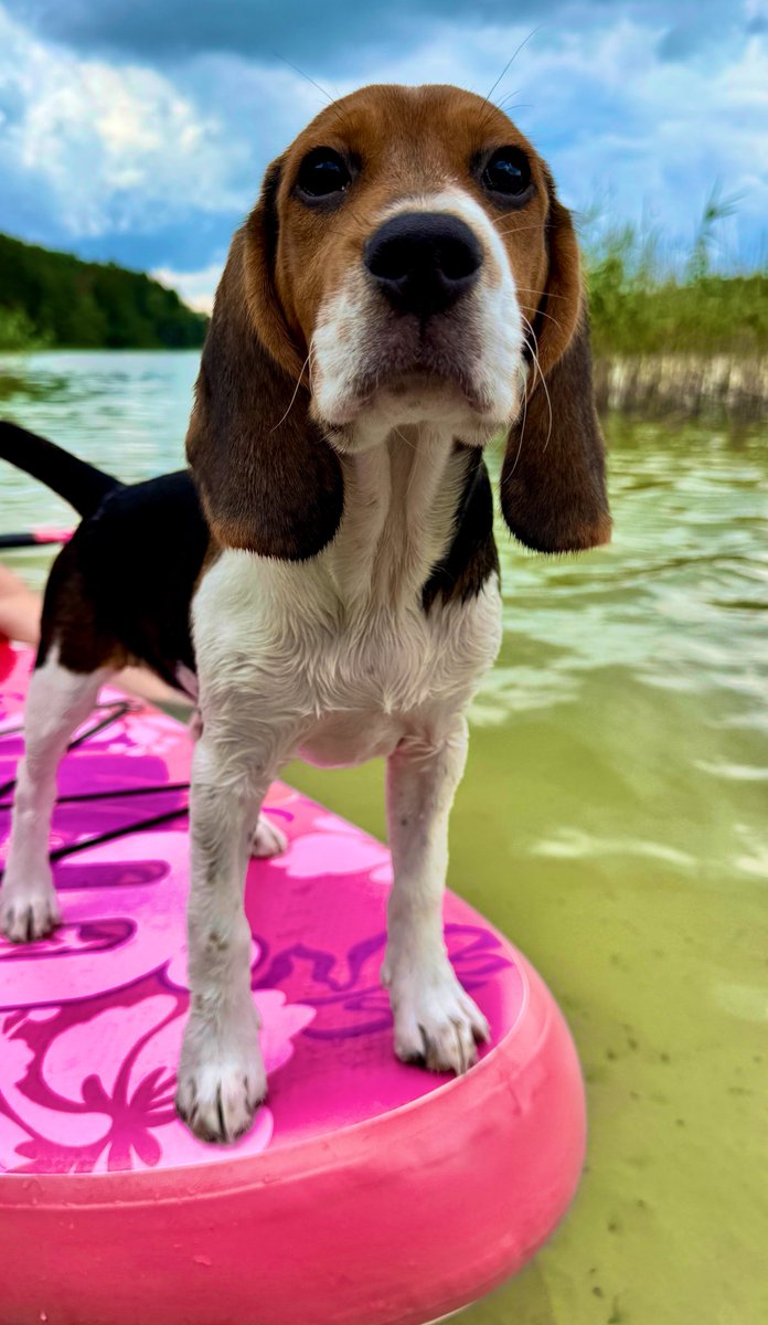 Die ersten Wasser-Begegnungen verlaufen super 🏄🤙