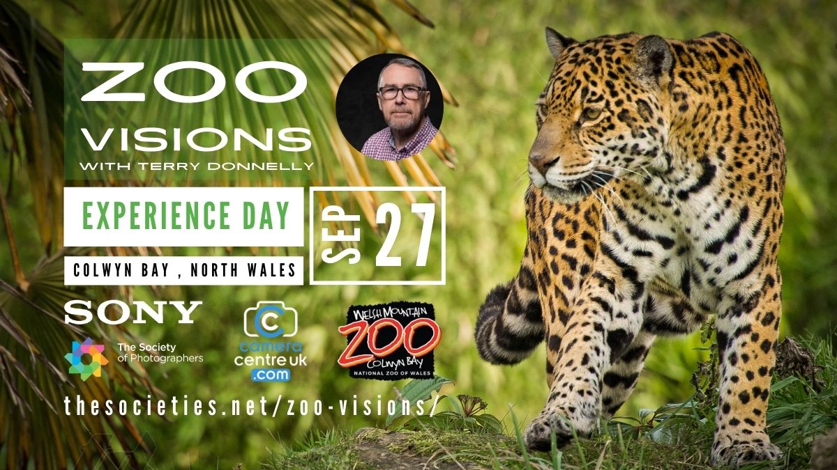 📸 Just announced: Zoo Visions with Terry Donnelly!
Join us at Welsh Mountain Zoo for a day of wildlife photography with Sony gear &amp; expert tuition.
📅 27 Sept 2025 | 🎟️ £59 Early Bird
🎯 Book now: thesocieties.net/zoo-visions/

#SonyAlpha #WildlifePhotography #TerryDonnelly