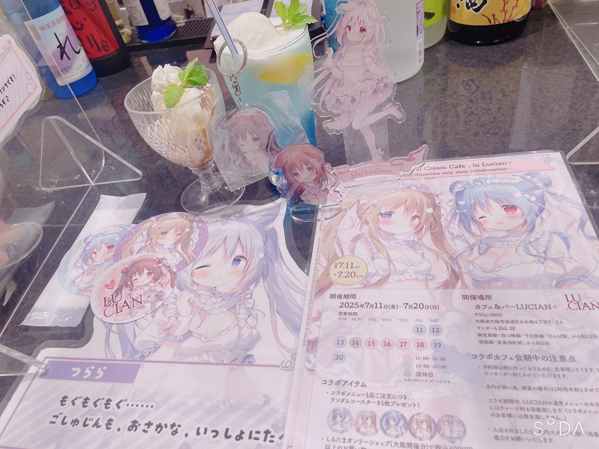 しらたまオンリーショップ - Search / X