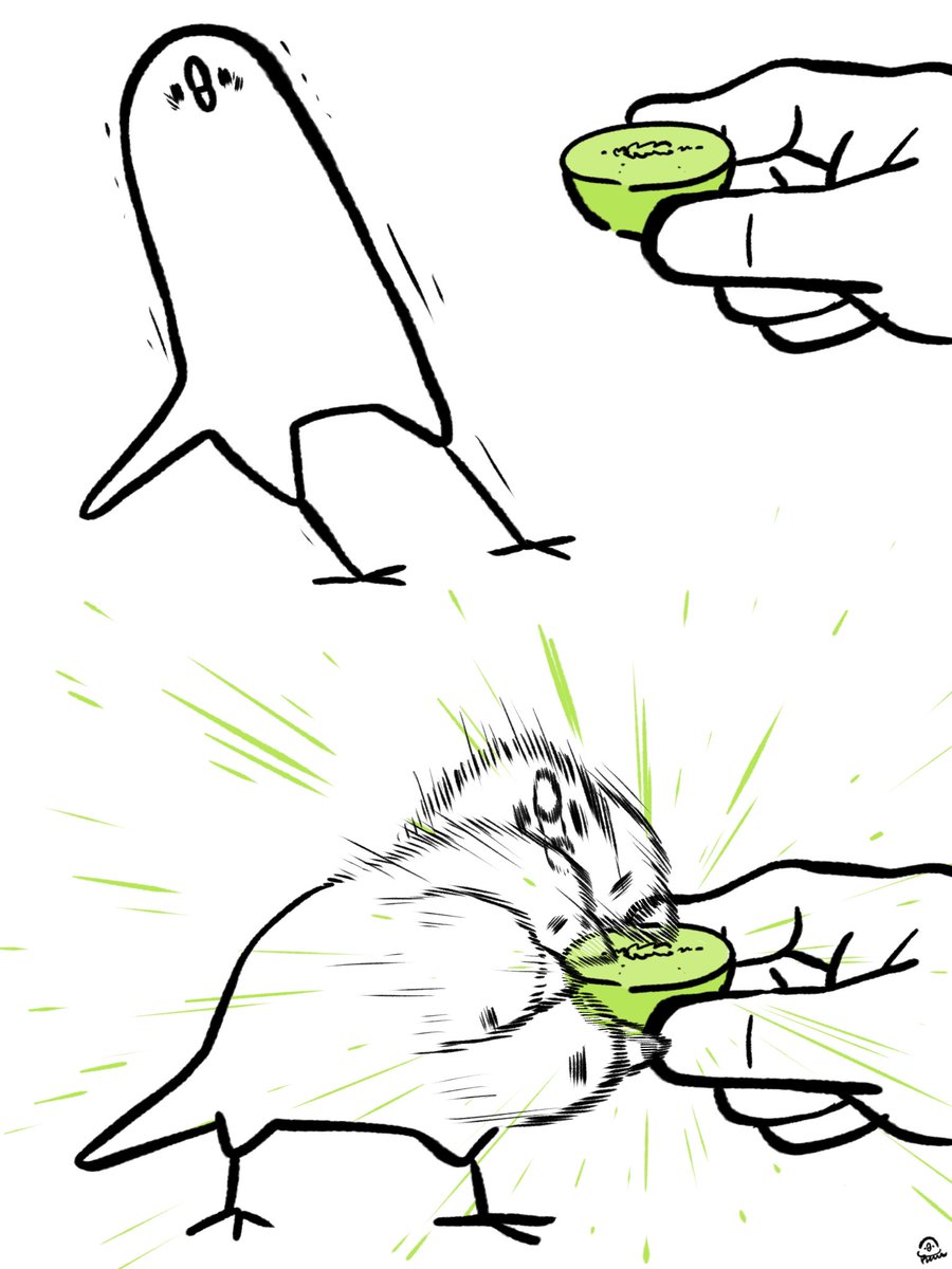 ほぼ1年ぶりのシャインマスカットをキメた鳥。
美味しさ、思い出したね