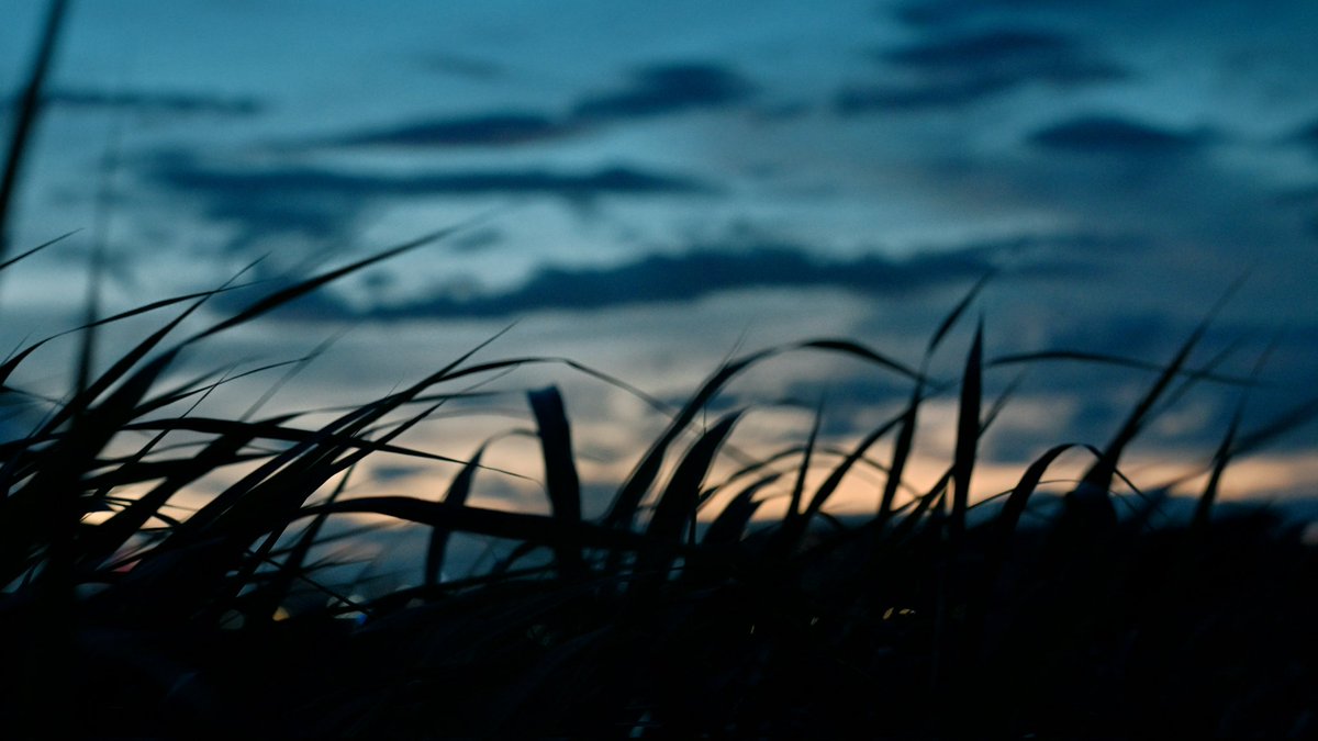 夕焼け
#NikonZ50II