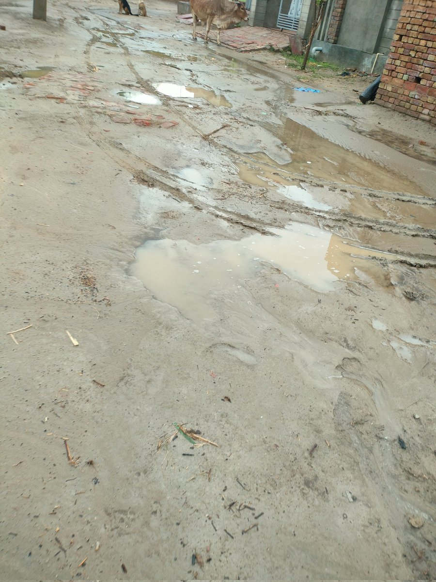 sr43754375's tweet photo. @cmohry @NayabSainiBJP CM साहब जी आपके राज मे चौटाला गांव की गली का ये हाल हो रखा हैं l आपका विकास साफ दिखाई दे रहा हैं l बरसात के समय तो घर से बाहर नहीं निकल सकते l बच्चे बूढ़े सबका घर से बाहर निकलना मुश्किल हो रहा हैं l सबको कहकर देख लिया कोई सुनबाई नहीं हो रही l https://t.co/LKR52oNbcS