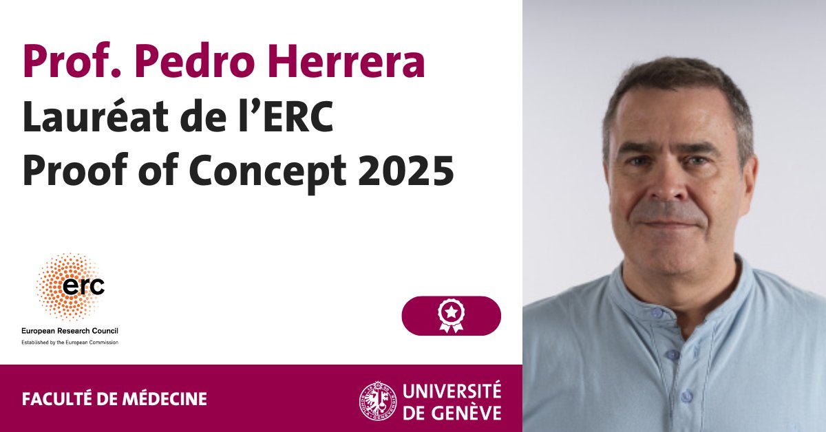 UNIGEnews's tweet image. 🏆 Deux scientifiques de l’UNIGE sont lauréats des ERC Proof of Concept Grants 2025 !
Pedro Herrera, professeur au Département de médecine génétique et développement (Faculté de médecine) développera le projet « REprogramming Pancreatic Alpha-cells for Insulin production…
