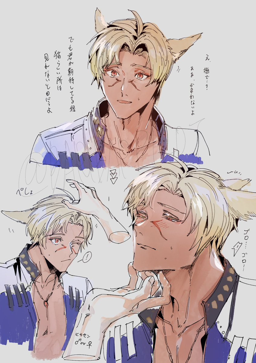 ハウブレ君幻覚