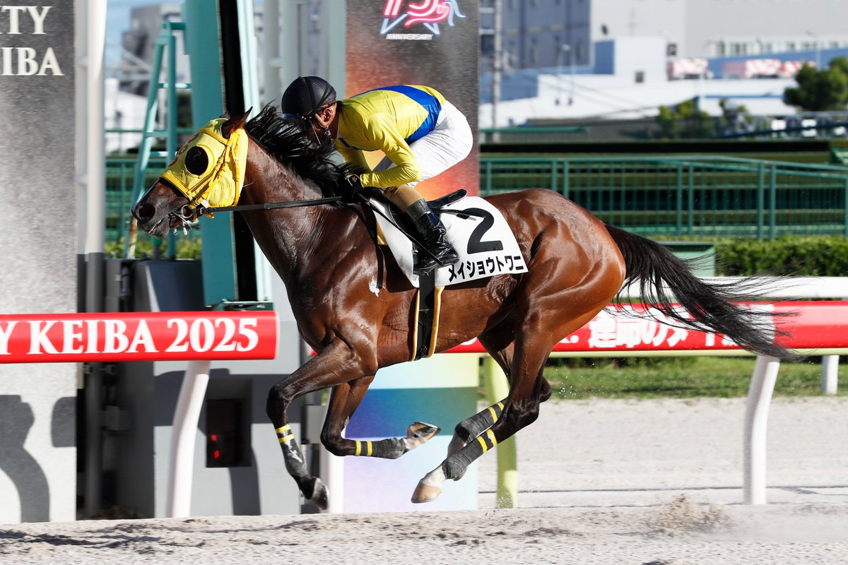 競馬探偵Xの大正解 : 2010年秋冬&2011年金杯までの予想 The answer to the 2020 Select Sale! A horse worth 74.8