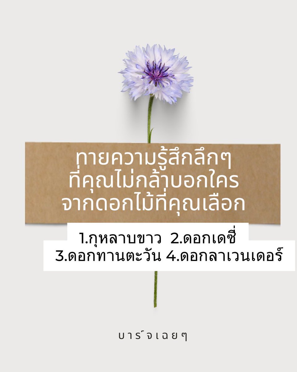 “ทายความรู้สึกลึก ๆ ที่คุณไม่กล้าบอกใคร จากดอกไม้ที่คุณเลือก”

สมมุติว่าคุณเดินเข้าไปในทุ่งดอกไม้ที่เต็มไปด้วยกลิ่นหอมละมุน แสงแดดอบอุ่น และลมเย็นเบา ๆ คุณเห็นดอกไม้ 4 ชนิดอยู่ตรงหน้า ดอกไหนที่คุณ “รู้สึกเชื่อมโยง” มากที่สุดในตอนนี้?