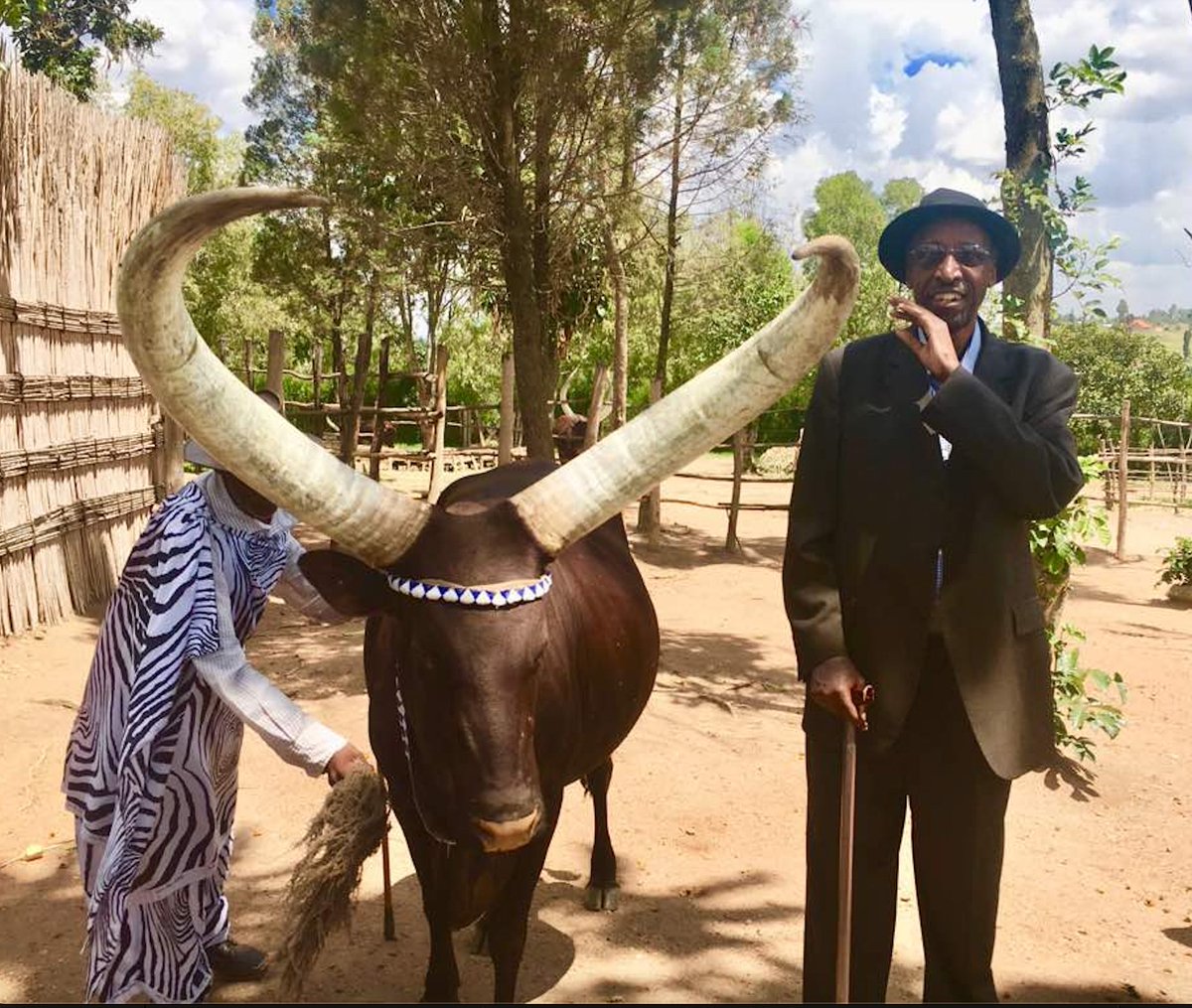 Violette Uwamutara tweet media