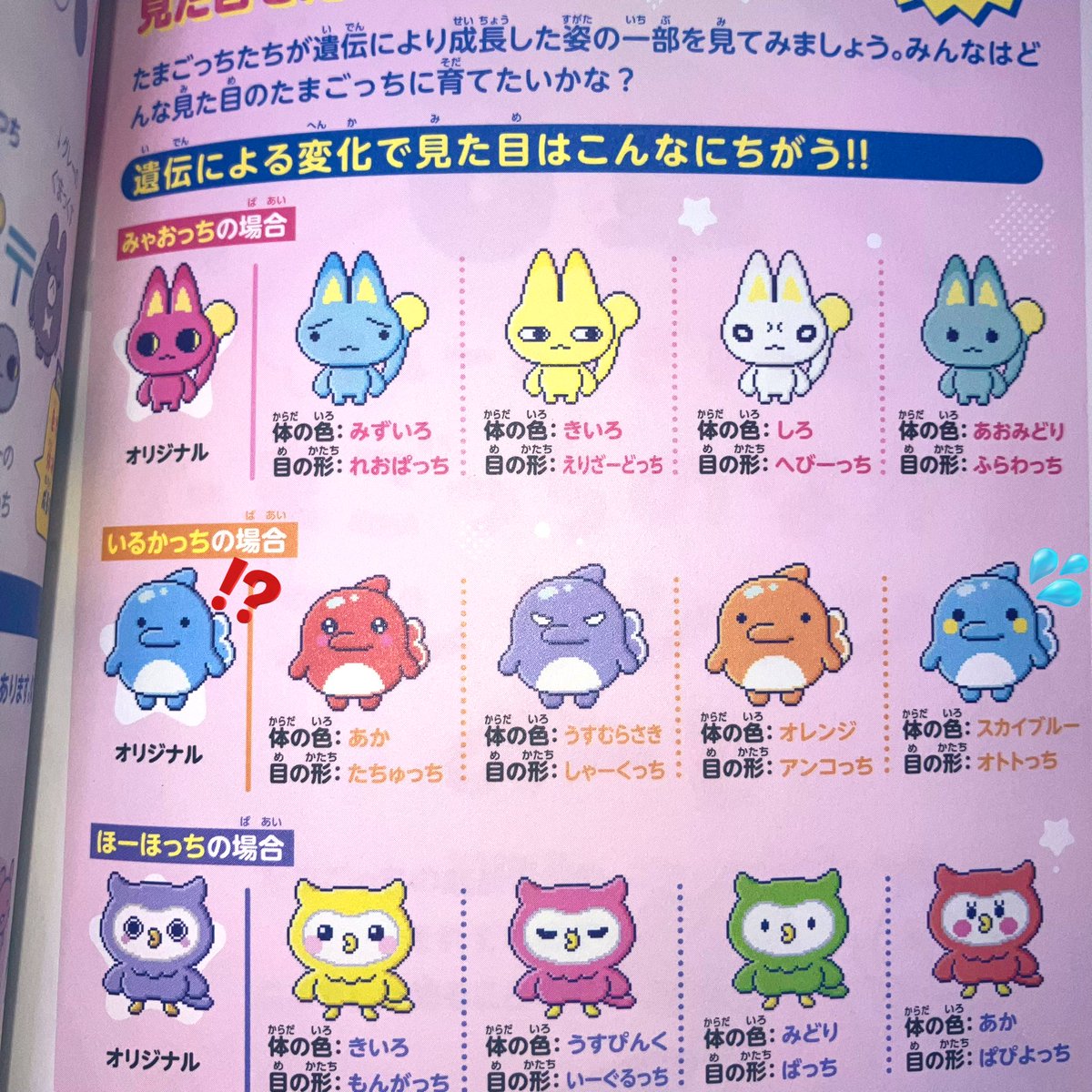 たまごっちパラダイスパーフェクトガイド」を見ていたらいるかっちのお