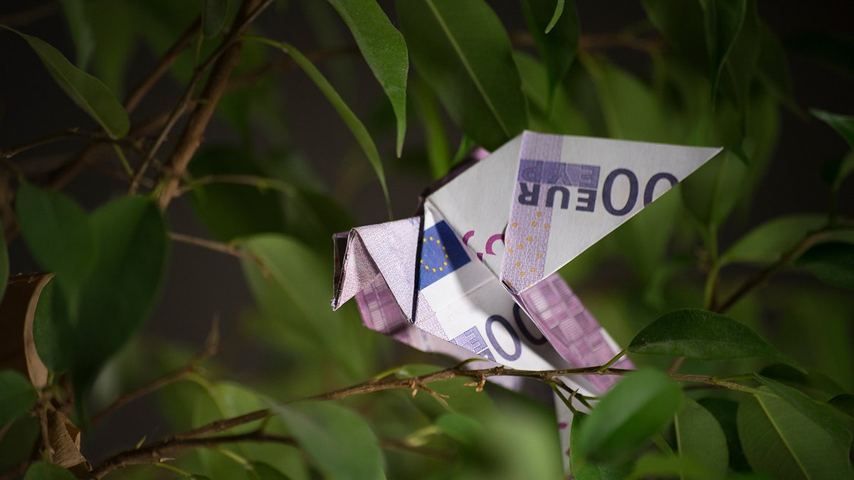 demigkrems's tweet image. 💶 New on scilog: How does EU funding shape migration policy? The project MigFund reveals a growing focus on border control and externalization.
📖 Read more: scilog.fwf.ac.at/en/magazine/wh…
🔍 Explore research outputs and resources: donau-uni.ac.at/en/university/…
