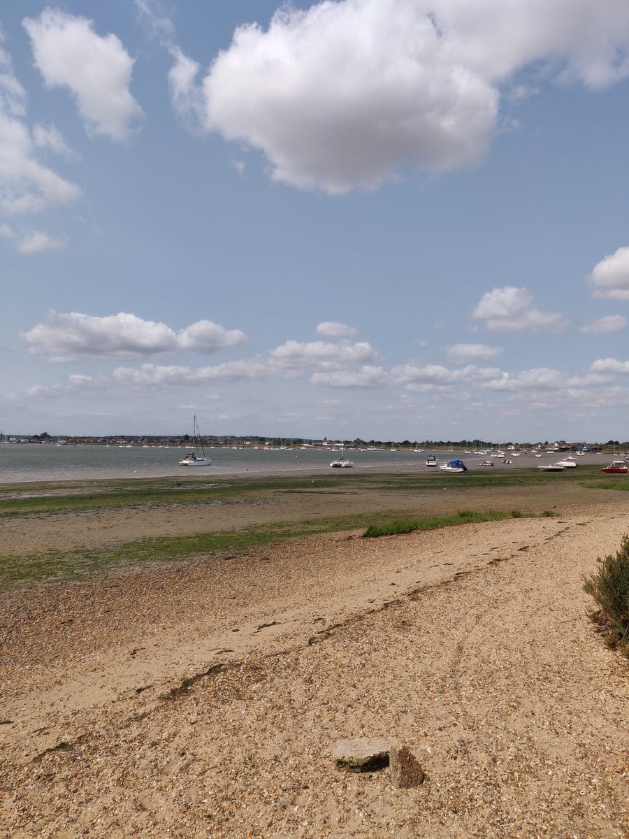 jhaworthauthor's tweet image. Started Monday morning a little differently this week with a trip to Osea for a coffee and a long walk ☕🌊 And I may have come home with a new book idea that I'm really excited about 📚❤️ Inspiration is such a funny thing, you never know when it's going to strike 💡 #mondaymagic