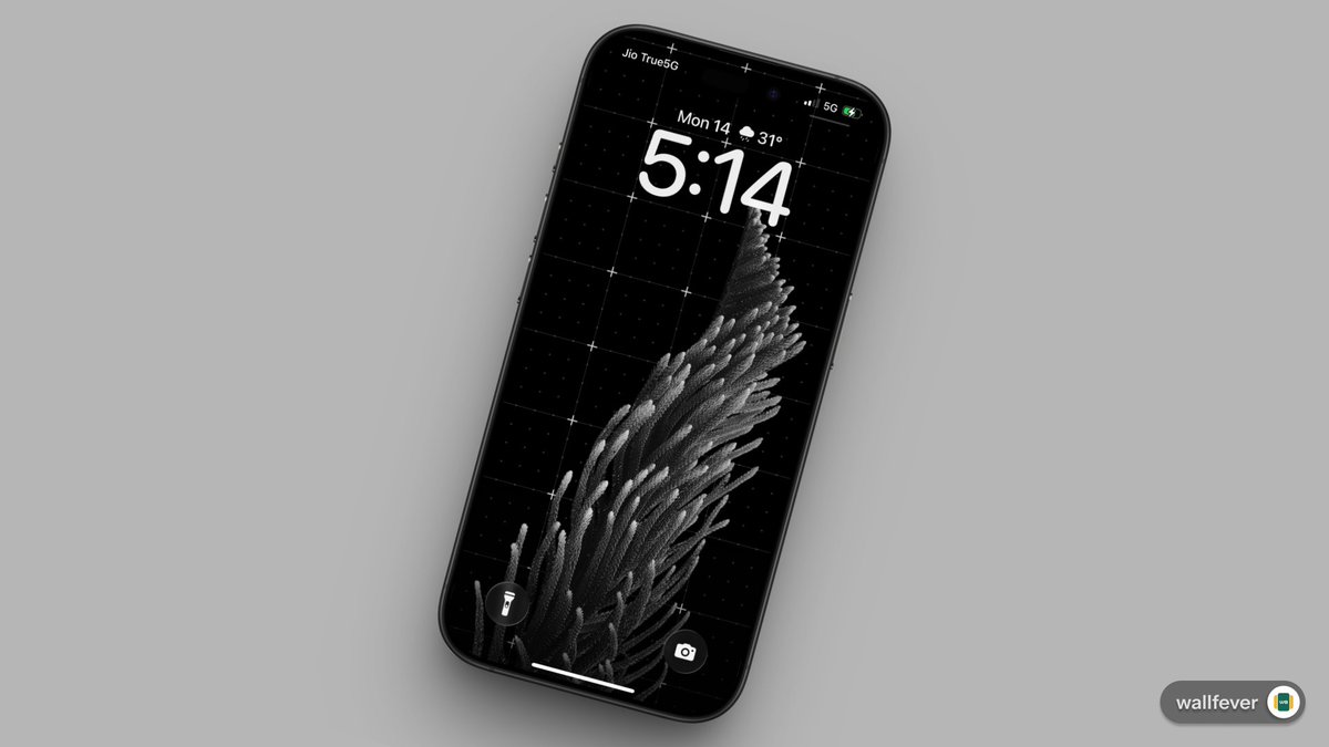 Wallfever tweet media