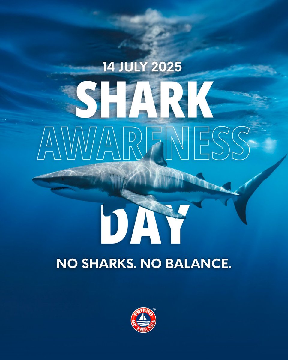 friendofthesea's tweet photo. 🦈 Scary? No. Essential.
Sharks aren’t the danger — they’re in danger.
100+ million are killed every year.
Without them, the ocean loses balance. 🌊
🫶 Drop a 🦈 if you believe they deserve protection.
#SharkAwarenessDay #ProtectSharks #FriendOfTheSea #SaveOurOceans #OceanLovers https://t.co/Az1GSlgFyJ