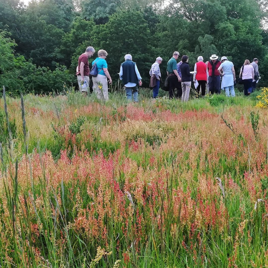 Have you ever been on a bat walk? 🦇

This Thursday join Will Scott-Mends, BCL's Conservation Officer and resident bat expert on a walk around Leg o' Mutton Nature Reserve. Discover bats feeding at dusk and pick up their calls on bat detectors!

visitrichmond.co.uk/events/evening…