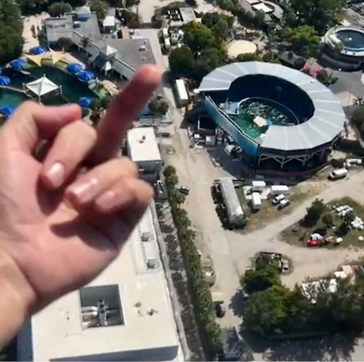 Today is World Orca Day! 2 years ago we flew a helicopter above the Miami Seaquarium to document &amp; publish video of the substandard conditions the animals were forced to endure. They sued me to try to silence me. Today, they’re bankrupt and animals are being removed. As promised.