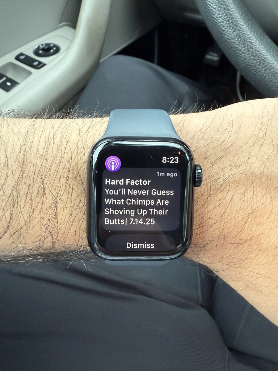 Carmine Cesario tweet media