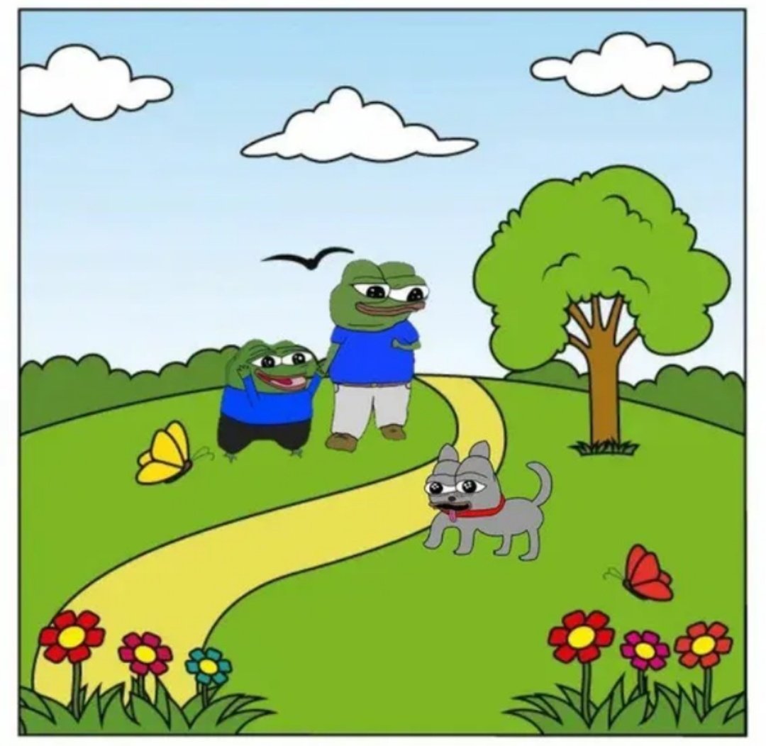 djoey44's tweet image. Gm frens🐸