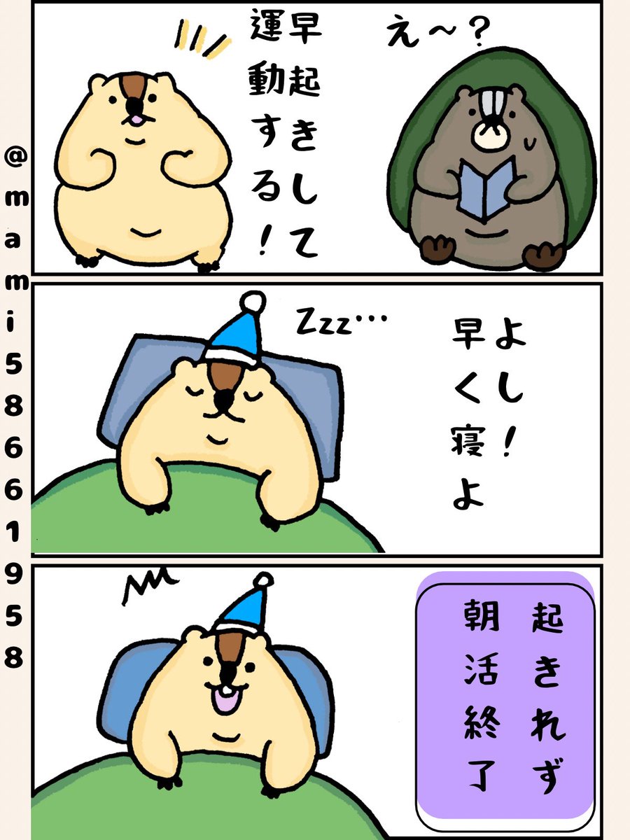 マルモ様✨✨専用 Amazon | ムサシ RITEX ここにもそこにも まんまるセンサー