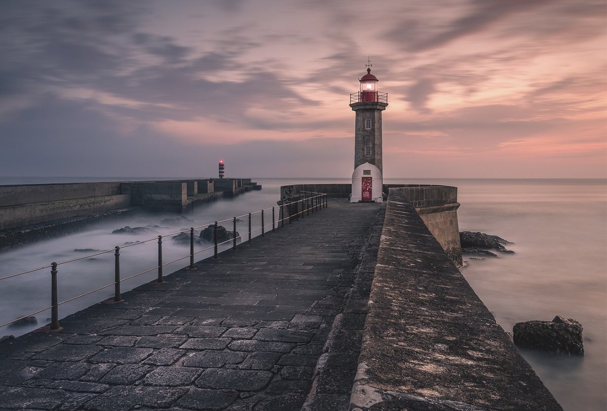 Comenzamos la semana con este 'Sunset Sentinel' de João Baptista. ¡Impresionante captura! 🤩

👉Descubre más detalles sobre la fotografía en nuestro perfil de Instagram.