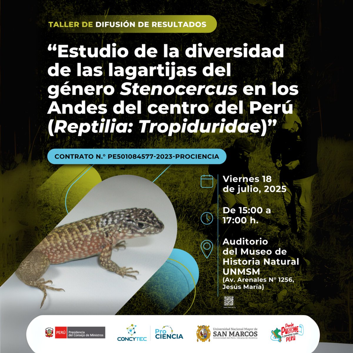 #eventosmhn
Taller de difusión de resultados: Estudio de la diversidad de las lagartijas del género Stenocercus en los Andes del centro del Perú (Reptilia: Tropiduridae)” 
📅viernes 18 de julio
⏰15:00 - 17:00 h.
📍Auditorio del Museo de Historia Natural - UNMSM