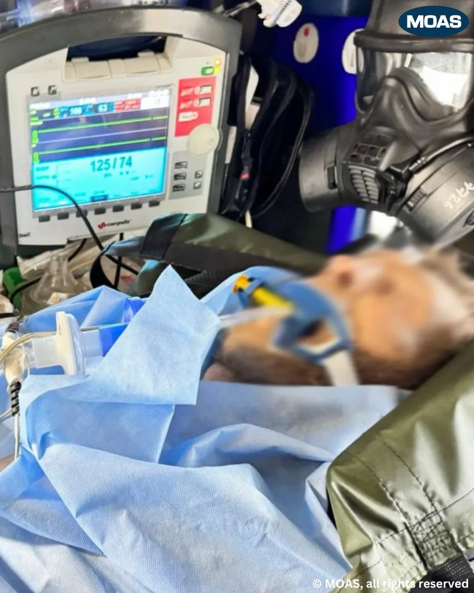 ❓How do you move a critically wounded patient through a warzone?
#StoriesFromTheFrontline: Amid artillery fire, the MOAS team evacuated a severely injured Ukrainian defender from the frontline to a specialized hospital.

🚨 The patient had suffered multiple shrapnel wounds to