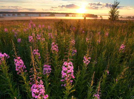 Paul Nets ꧁IP꧂ tweet media