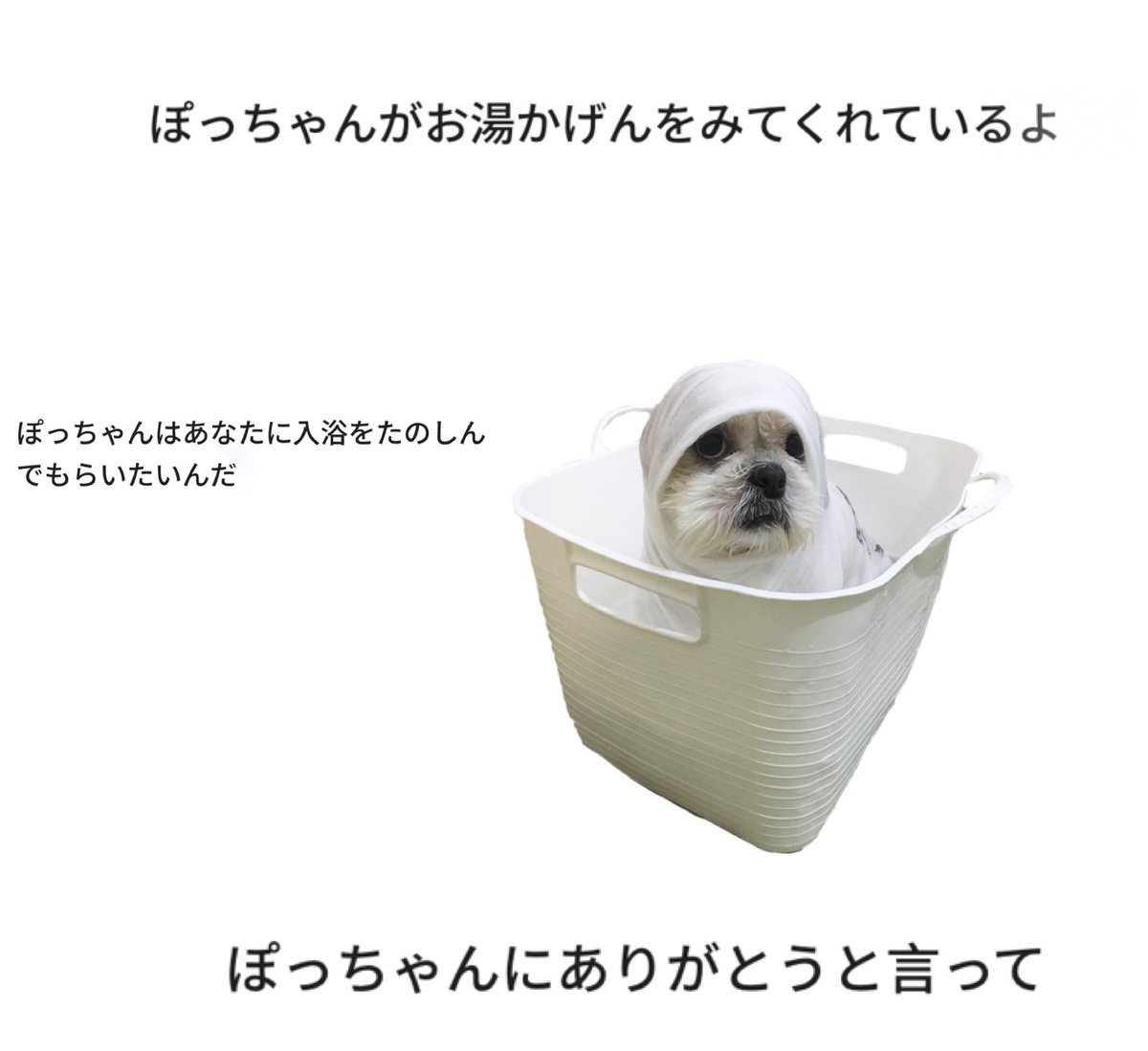 eternal_ptk's tweet image. 冷める前に入って