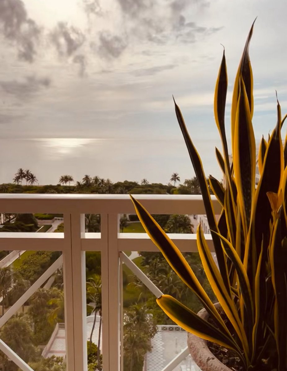 TheRealAligaga's tweet photo. View. https://t.co/MWiCkhFc2s