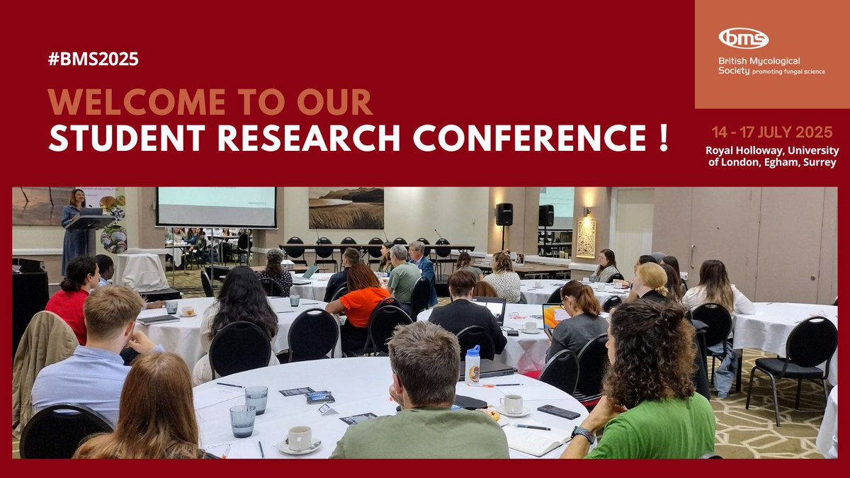 BritMycolSoc's tweet image. Welcome to our Student Research Conference! Careers advice, talks and networking for PhD students. ⭐ Supporting the future of fungal biology research #BMS2025