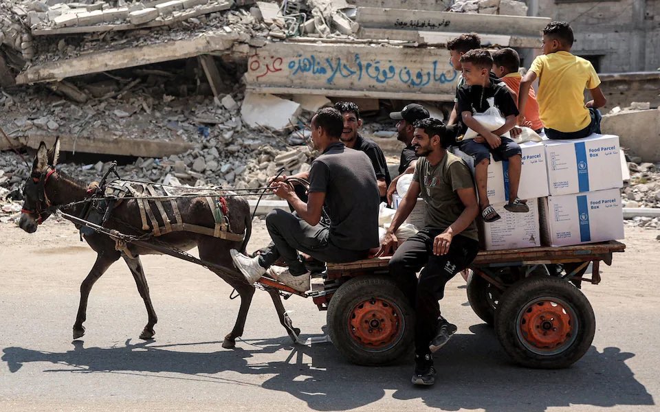 An Israeli news report detailed how the occupation has transferred hundreds of donkeys after stealing them from inside Gaza moving them on to Israel and Europe. 

The organisation who received them stressed that the animals were in a difficult psychological state, after living a