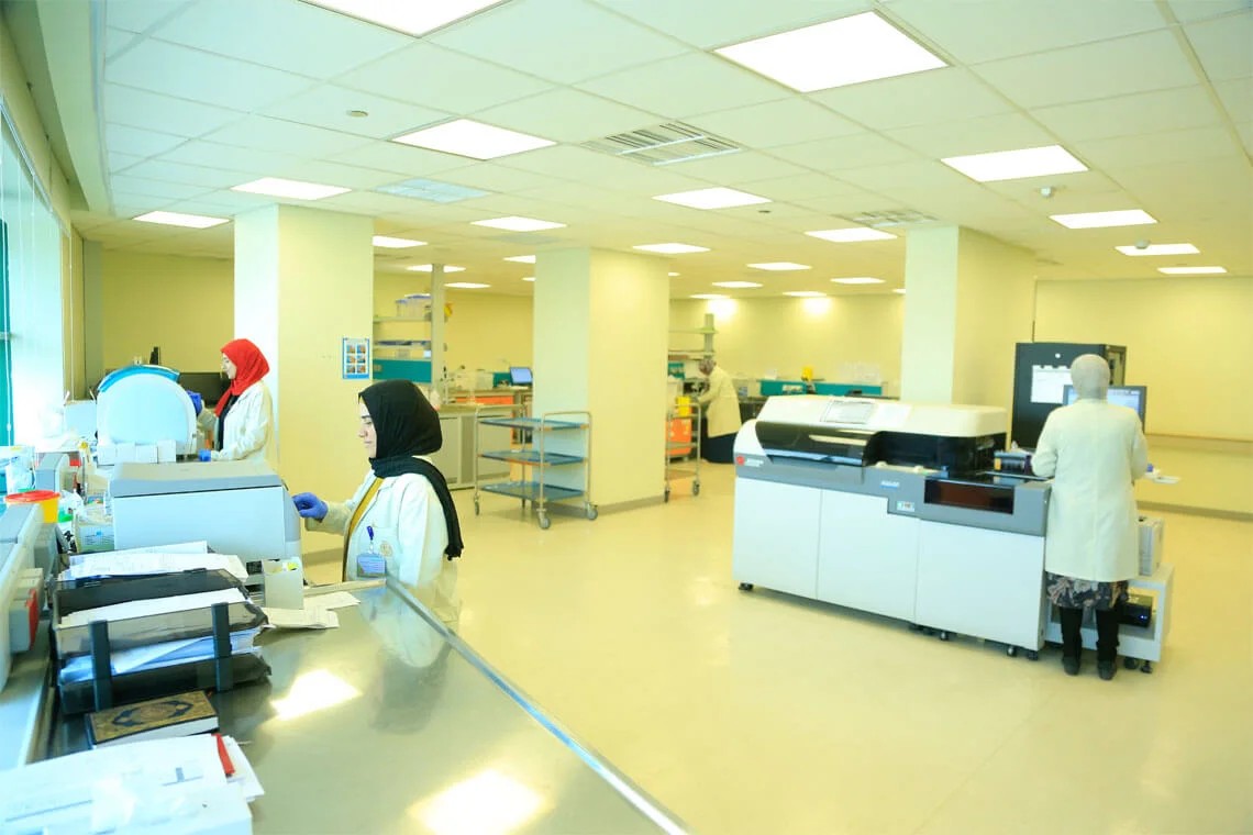 AfCDigest's tweet image. Here&apos;s our digest of the #deals, #fundraises, and other #privatemarkets happenings in #Africa last week - conta.cc/3UalA6o - DPI, Alameda Healthcare, @PhatisaGroup, @helios_invest, @CygnumCapital, others make #news...
#privateequity #privatedebt #venturecapital #MENA