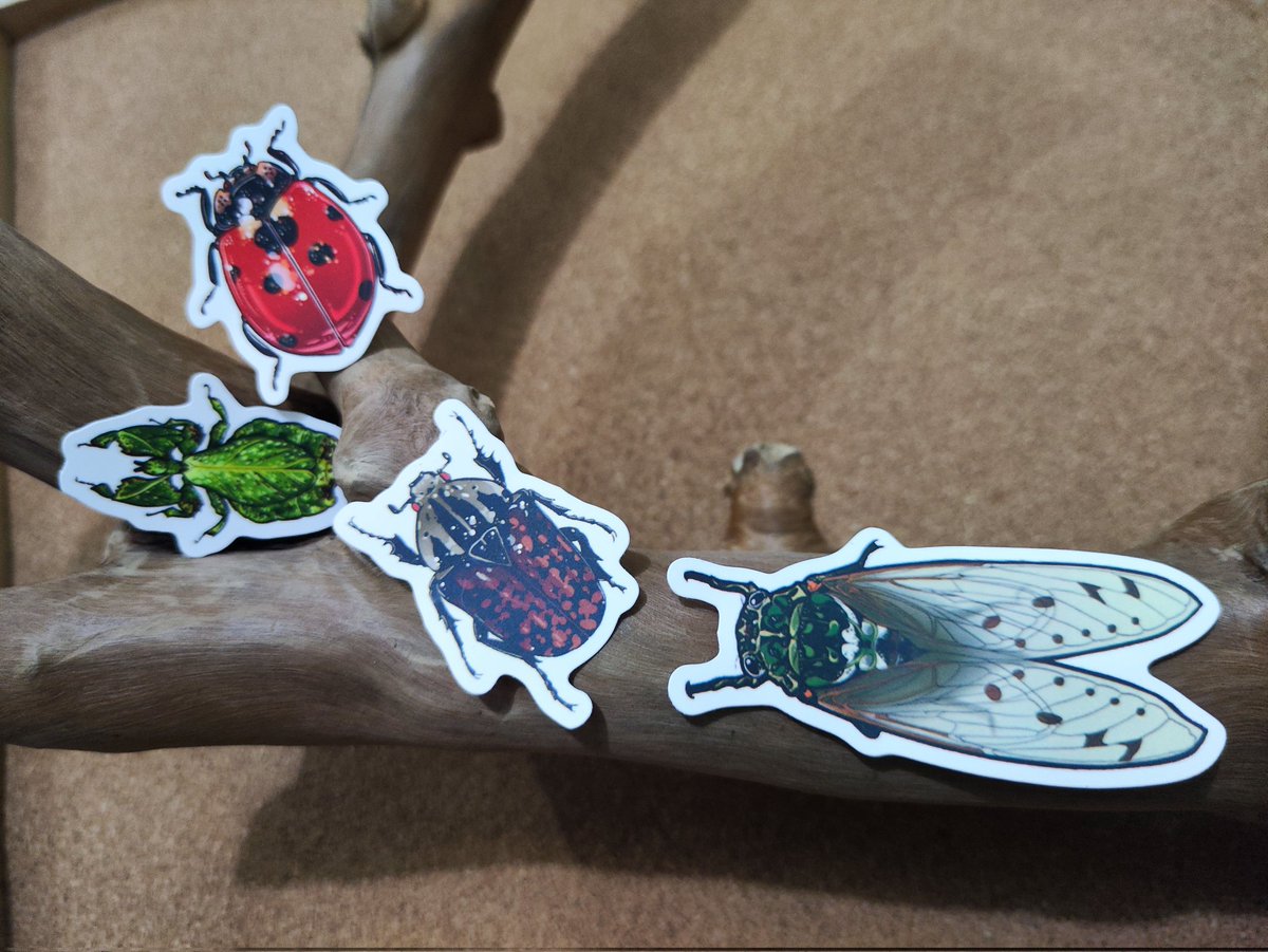 Pest and bugs

#Stickers #bugs #illustration #artprint