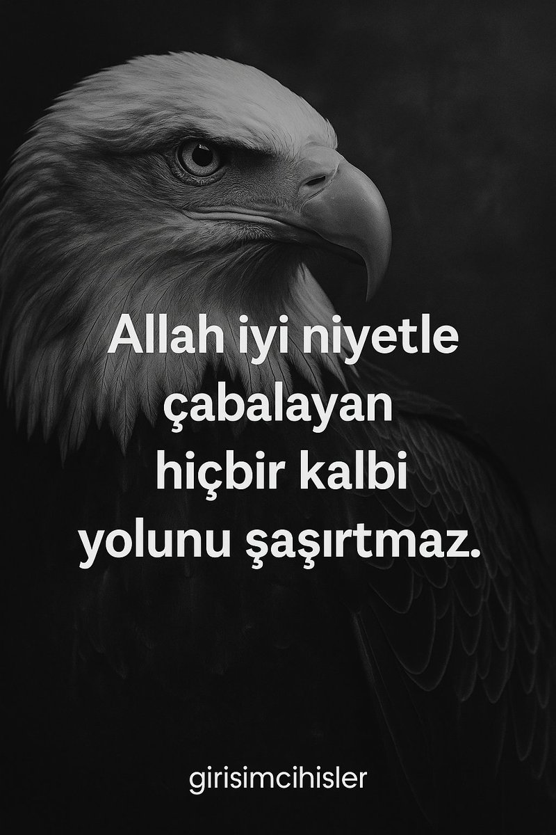 Girişimci Hisler (@girisimcihisler) on Twitter photo 