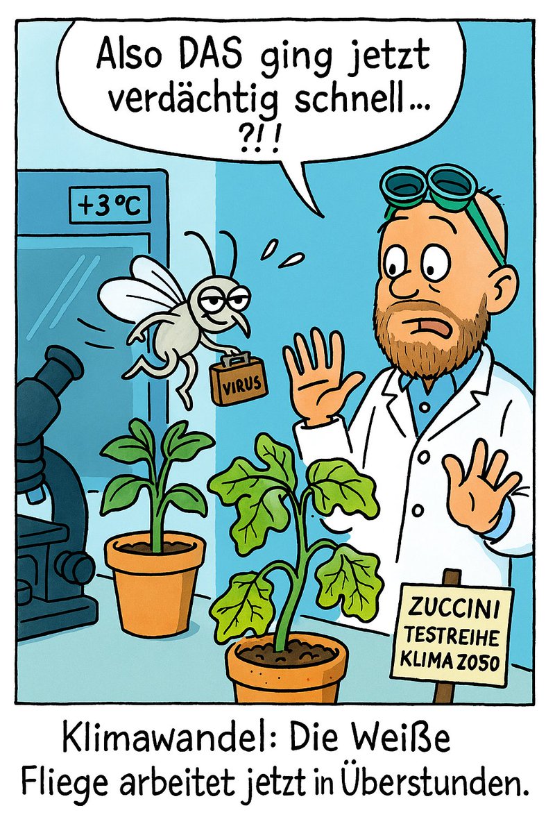 VIRTIGATION - save tomatoes & cucurbits from virus (@virtigation) on Twitter photo Last week, #VIRTIGATION partner <a href="/LIST_Luxembourg/">LIST Luxembourg Institute of Science & Technology</a> organised a webinar on the impact of #ClimateChange on the ability of #whiteflies to transmit #PlantViruses. Read the recap of the webinar now on our website: virtigation.eu/recap-of-virti… #H2020 #EUFunded #PlantHealth #PlantScience Last week, #VIRTIGATION partner <a href="/LIST_Luxembourg/">LIST Luxembourg Institute of Science & Technology</a> organised a webinar on the impact of #ClimateChange on the ability of #whiteflies to transmit #PlantViruses. Read the recap of the webinar now on our website: virtigation.eu/recap-of-virti… #H2020 #EUFunded #PlantHealth #PlantScience