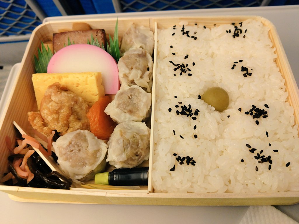 161430C's tweet photo. これは入場前のKアリと帰りに買った崎陽軒のシウマイ弁当 https://t.co/WhcaIf0Fr0