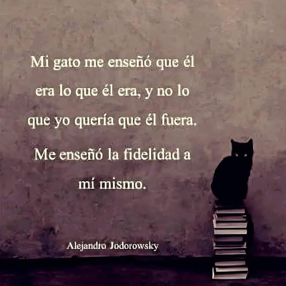 🖊️🖊️🖊️