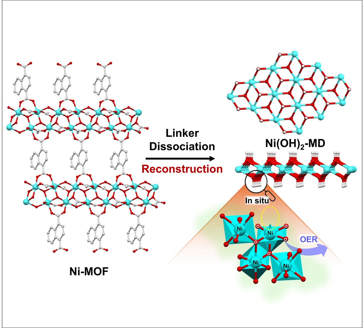 Rohan Jena (@55rj555) on Twitter photo Thrilled to share our latest publication in Angewandte Chemie!
Grateful to my amazing collaborators and mentors for their support throughout this journey!
onlinelibrary.wiley.com/doi/10.1002/an…
<a href="/angew_chem/">Angewandte Chemie</a> <a href="/Molmat_JNCASR/">MolMat Lab (Prof. Tapas K Maji's Group)</a> <a href="/MOF_papers/">MOF Papers</a> #MOF #Electrocatalyis #Reconstruction Thrilled to share our latest publication in Angewandte Chemie!
Grateful to my amazing collaborators and mentors for their support throughout this journey!
onlinelibrary.wiley.com/doi/10.1002/an…
<a href="/angew_chem/">Angewandte Chemie</a> <a href="/Molmat_JNCASR/">MolMat Lab (Prof. Tapas K Maji's Group)</a> <a href="/MOF_papers/">MOF Papers</a> #MOF #Electrocatalyis #Reconstruction