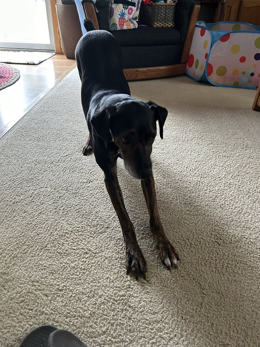 Stretching into the new week. Have a great one pals. 🩵
#MondayMotivation